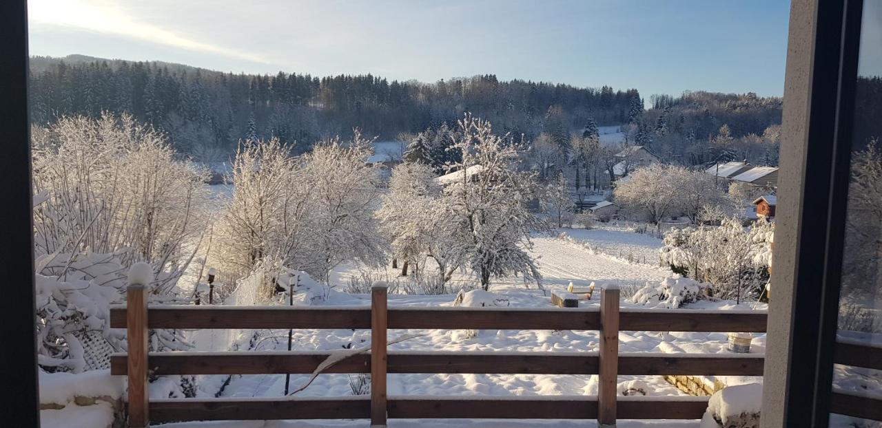 Le Jura En Toutes Saisons Piscine, Spa, Location Vtt, Balades 2Cv, Climatisation Bonlieu Luaran gambar